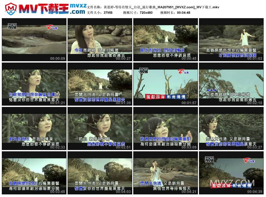 黃思婷-等待有情天_台语_流行歌曲_MA207951